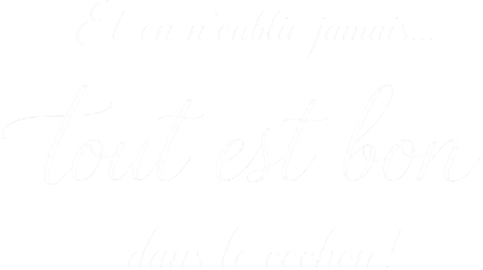 Tout est bon dans le cochon